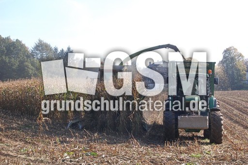 Mähdrescher_1.JPG
